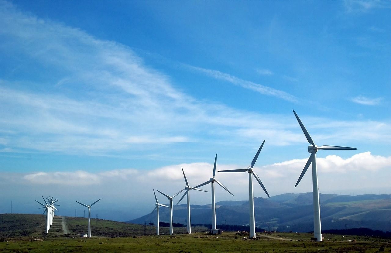 Conectate energía verde