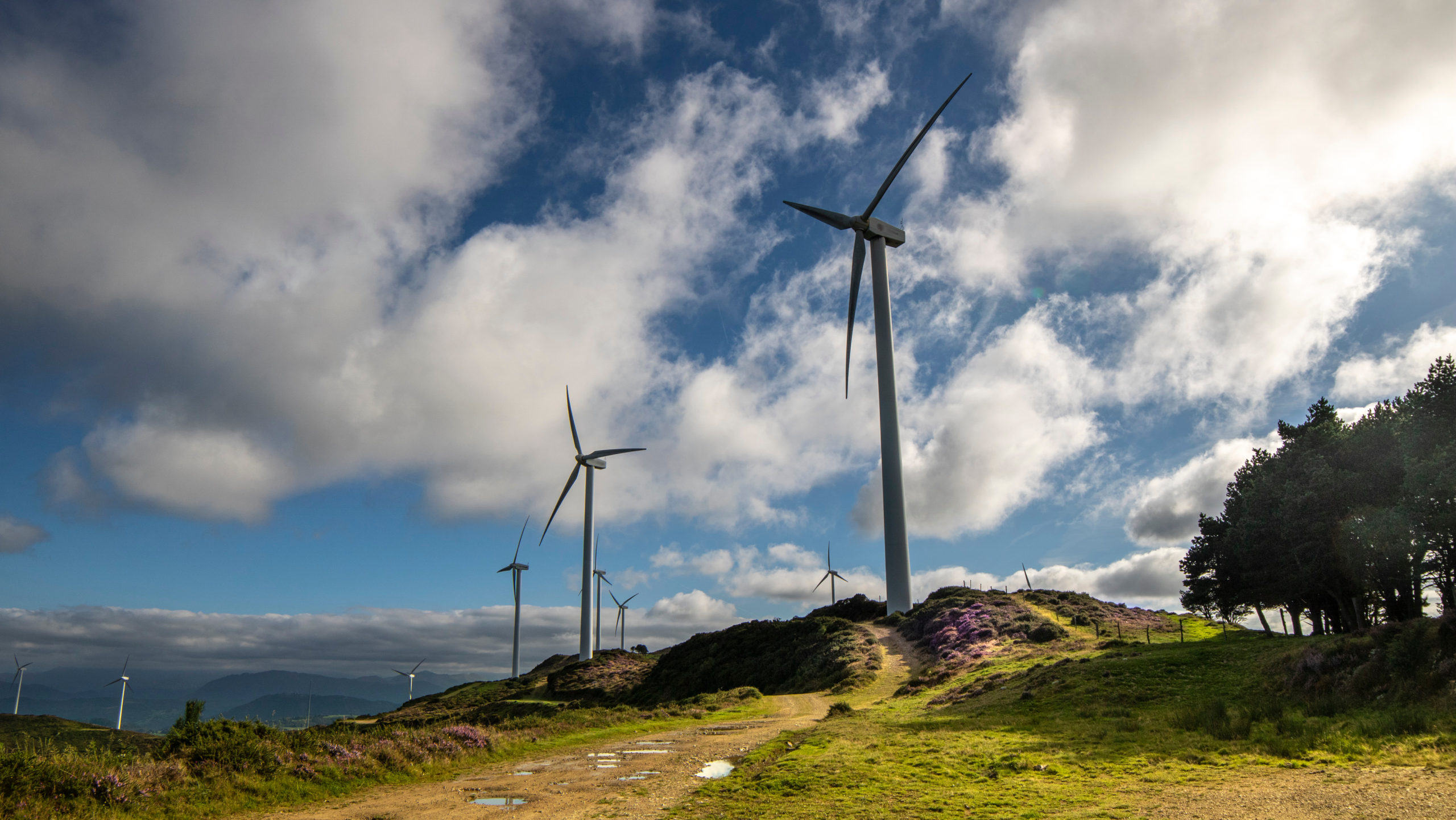 transicion energetica y cambio climatico