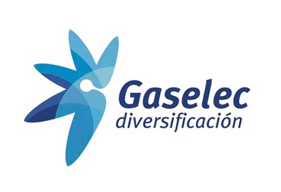 GASELEC DIVERSIFICACION, S.L.