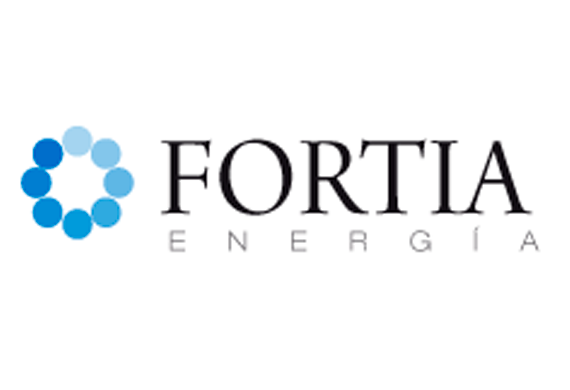 FORTIA ENERGÍA, S.L.